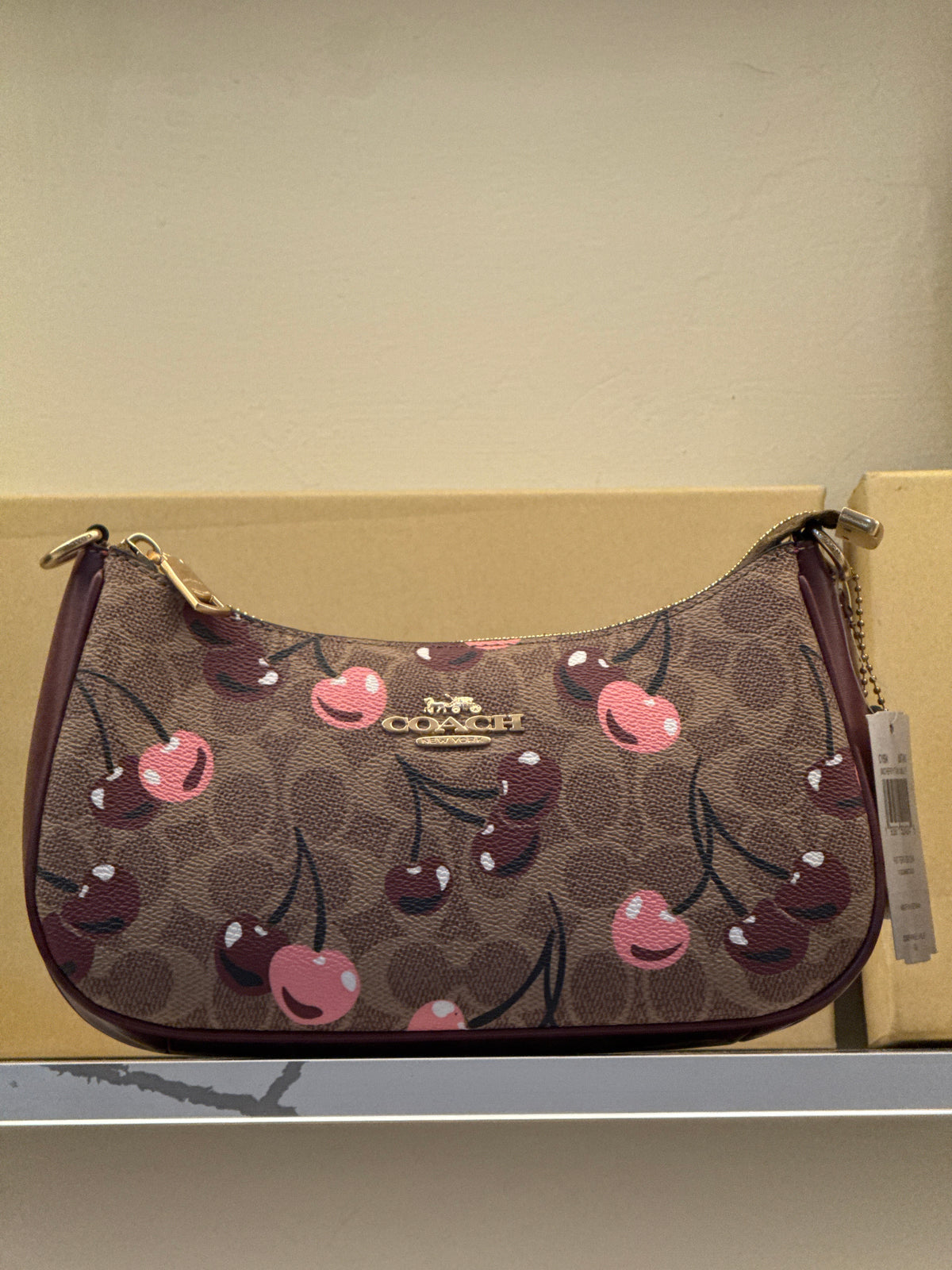 Coach Teri Shoulder Bag in Signature Canvas with Cherry Print – Brown / Pink