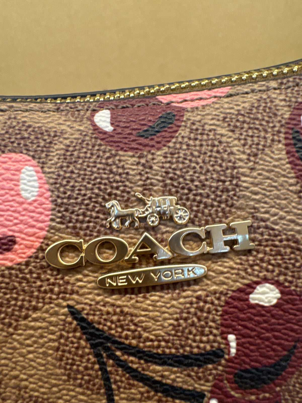 Coach Teri Shoulder Bag in Signature Canvas with Cherry Print – Brown / Pink