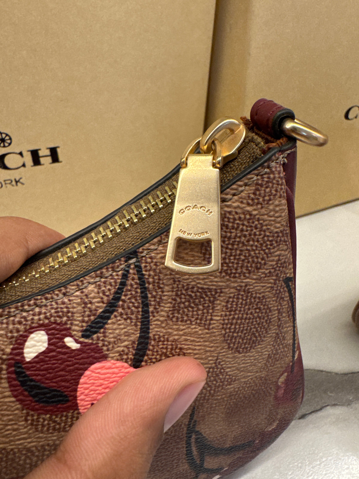 Coach Teri Shoulder Bag in Signature Canvas with Cherry Print – Brown / Pink