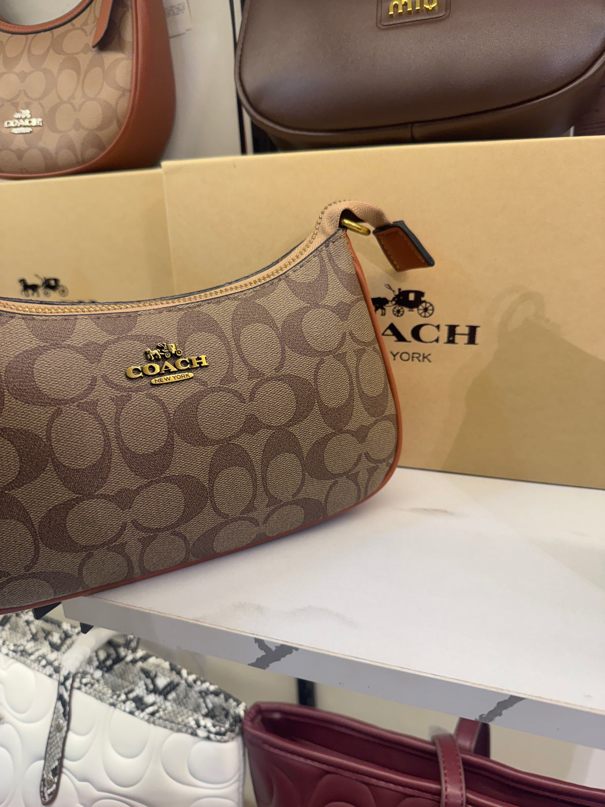 Coach Teri Shoulder Bag in Signature Canvas – Light Khaki / Beechwood Tan