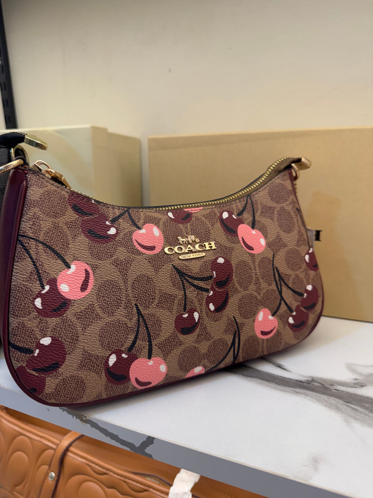 Coach Teri Shoulder Bag in Signature Canvas with Cherry Print – Brown / Pink